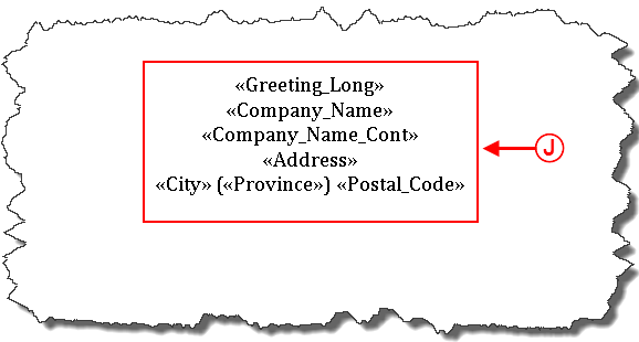 Labels or envelopes Word 2007 011.png